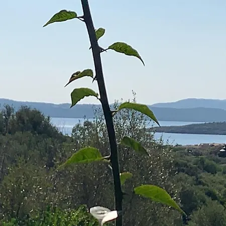Casa Adelaide, Oasi Di Pace Con Vista Mare *